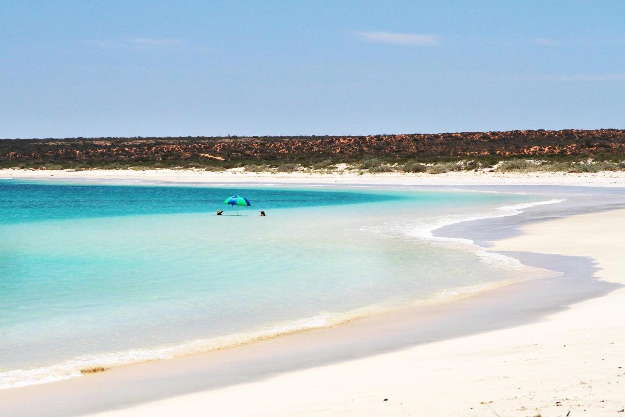 Gnaraloo Station - Homestead Carnarvon Εξωτερικό φωτογραφία